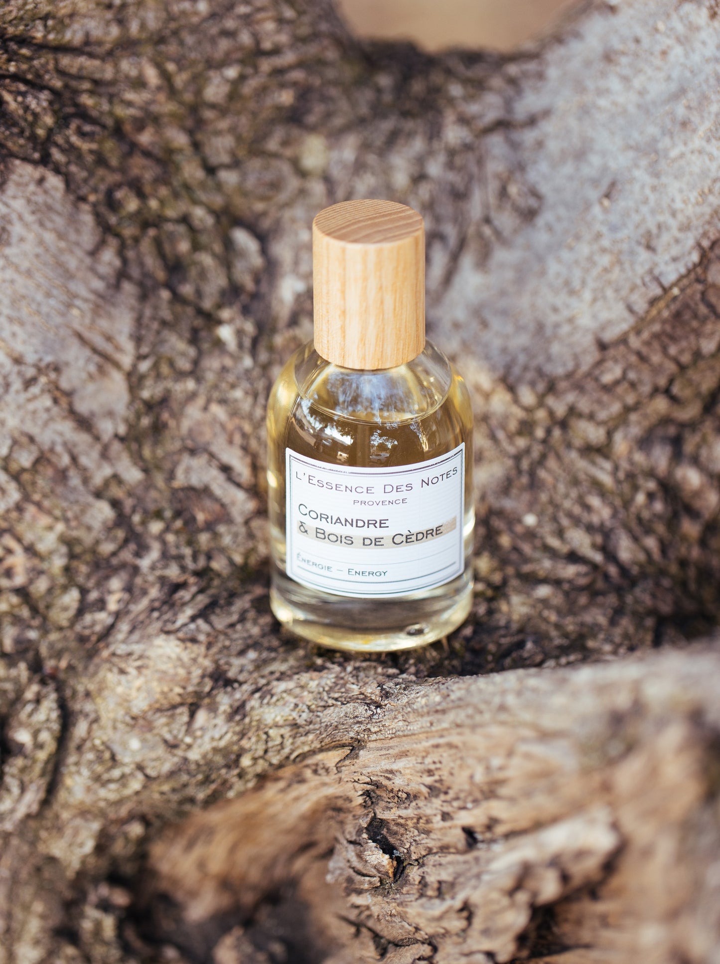 Eau de Parfum Coriandre Bois de Cèdre Énergie L'Essence des Notes