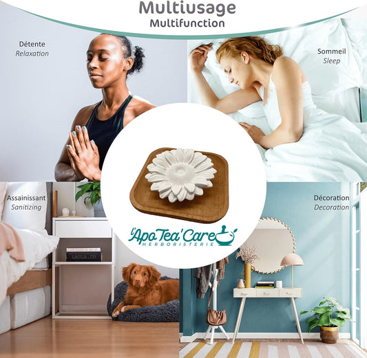 Diffuseur en Plâtre Astelia