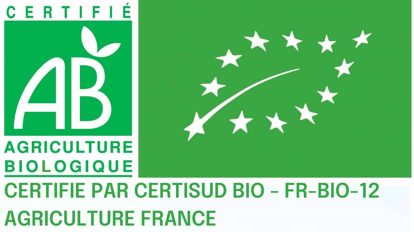 Maté Vert Bio Feuille Coupée