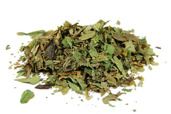 Ail Des Ours Feuille Coupée