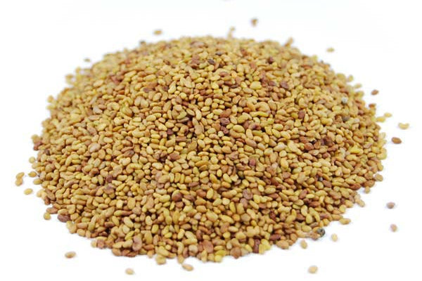 Alfalfa (Luzerne) Bio Graine