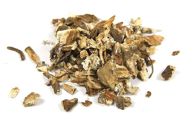 Bardane Grande Racine Coupée