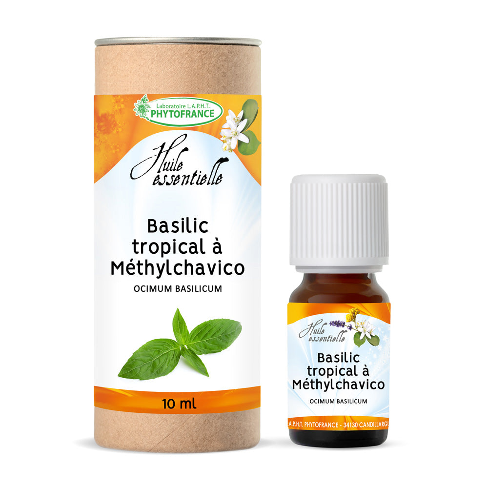 Basilic Tropical à Méthylchavicol bio – matière première huile essentielle PhytoFrance – L'ApoTea'Care