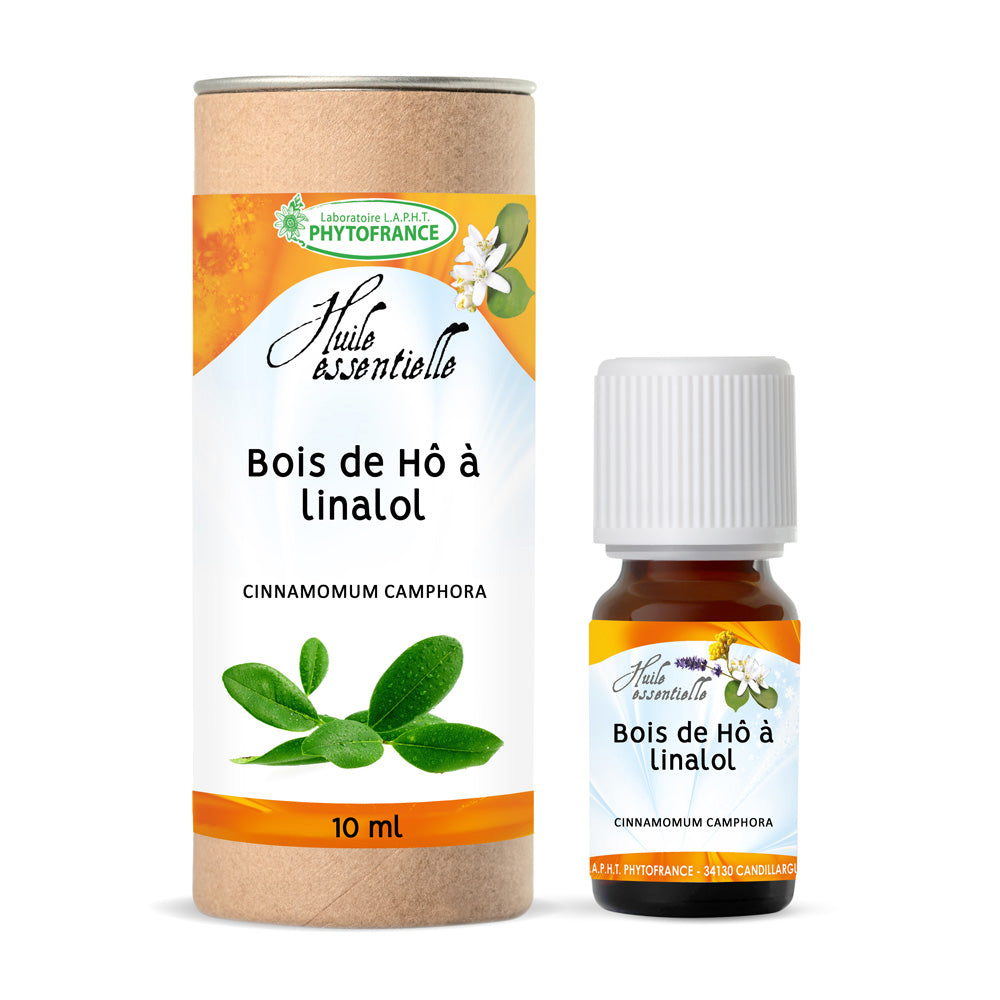 Bois de Hô à linalol traditionnel – matière première huile essentielle PhytoFrance – L'ApoTea'Care