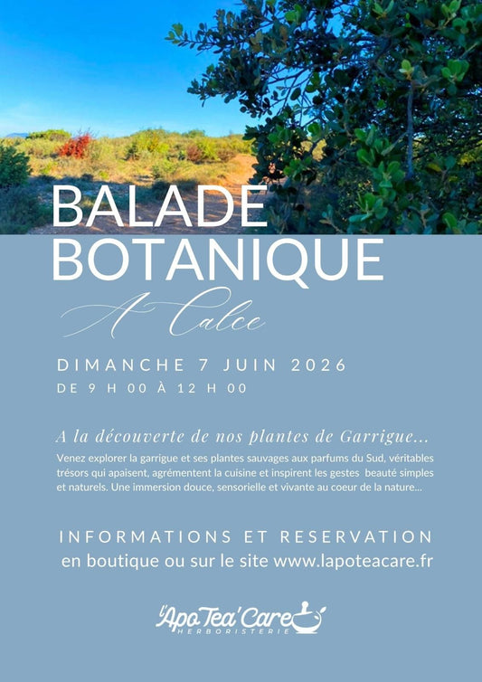 SORTIE BOTANIQUE