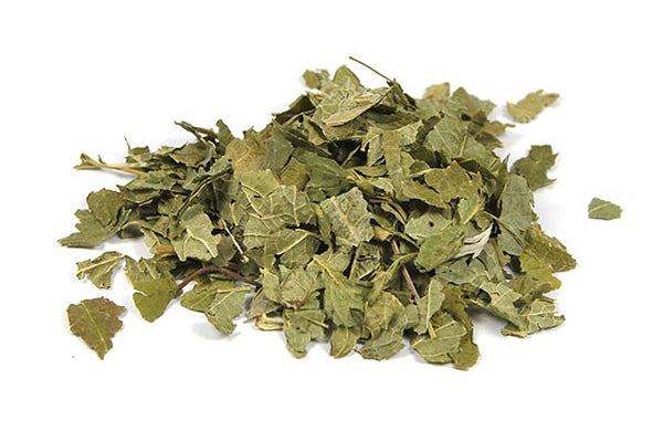 Cassis Feuille Coupée