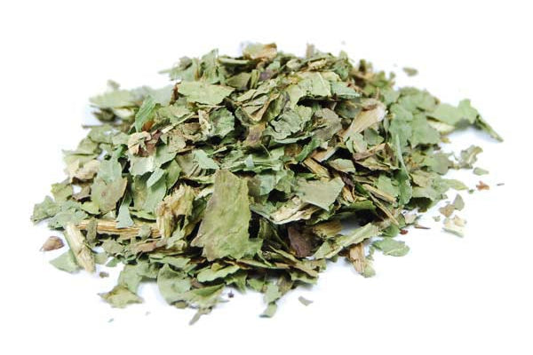 Chicorée Feuille Coupée