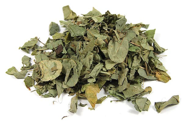 Desmodium Feuille Coupée