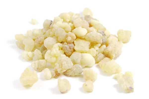 Encens Carterii en Larmes