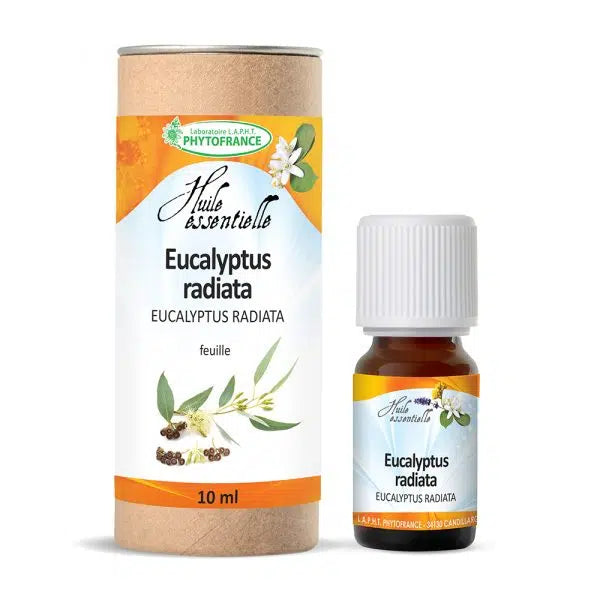Huile Essentielle Eucalyptus Radié 10ml