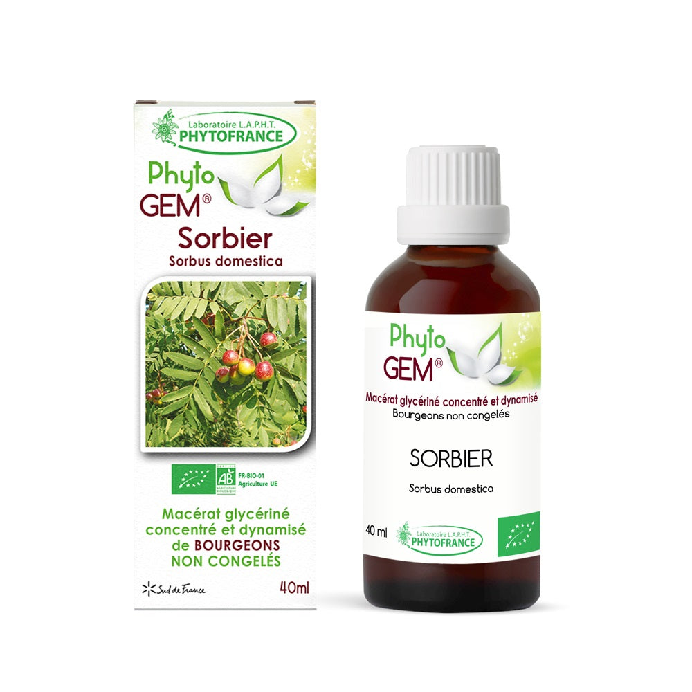 Macérat Phyto'gem Concentré de Bourgeons de Sorbier BIO 40ml PhytoFrance