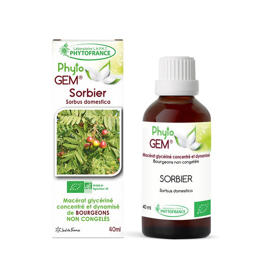 Macérat Phyto'gem Concentré de Bourgeons de Sorbier BIO 40ml PhytoFrance
