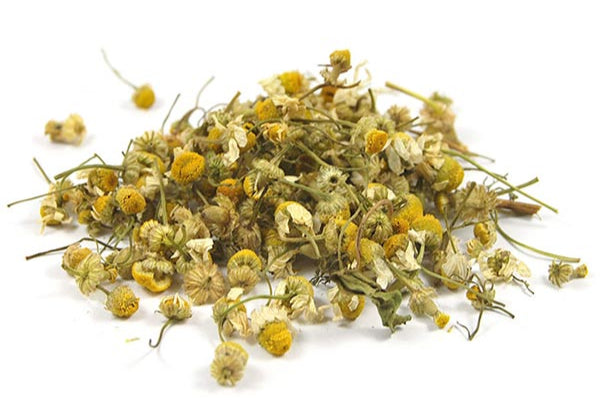 Camomille Matricaire Capitule Floral Extra