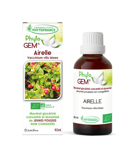 Macérat Phyto’gem Concentré de Bourgeons Airelle BIO 40ml PhytoFrance