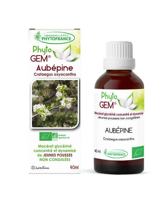 Macérat Phyto'gem Concentré de Bourgeons Aubépine BIO 40ml PhytoFrance