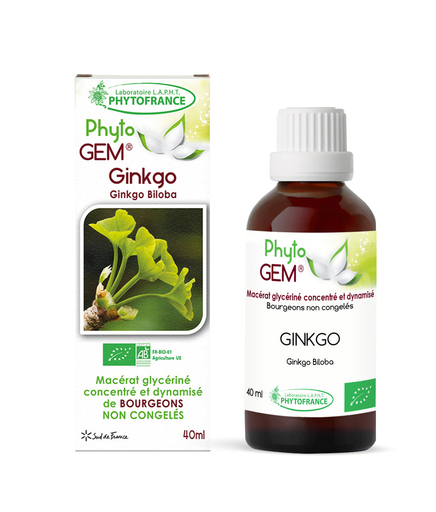 Macérat Phyto’gem Concentré de Bourgeons - Ginkgo Biloba BIO 40ml PhytoFrance