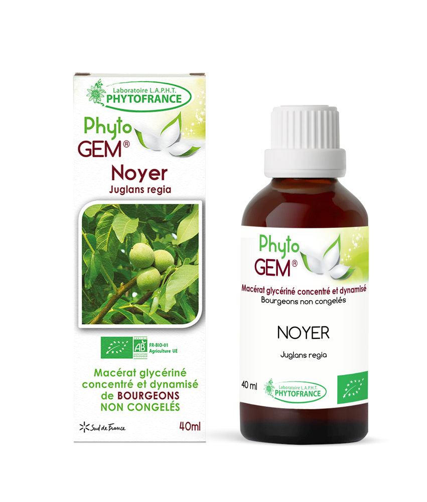 Macérat Phyto’gem Concentré de Bourgeons Noyer BIO 40ml PhytoFrance