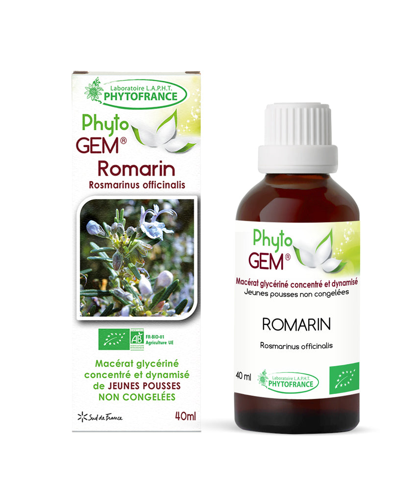 Macérat Phyto’gem Concentré de Bourgeons Romarin BIO 40ml Détox Hépatique et Vitalité