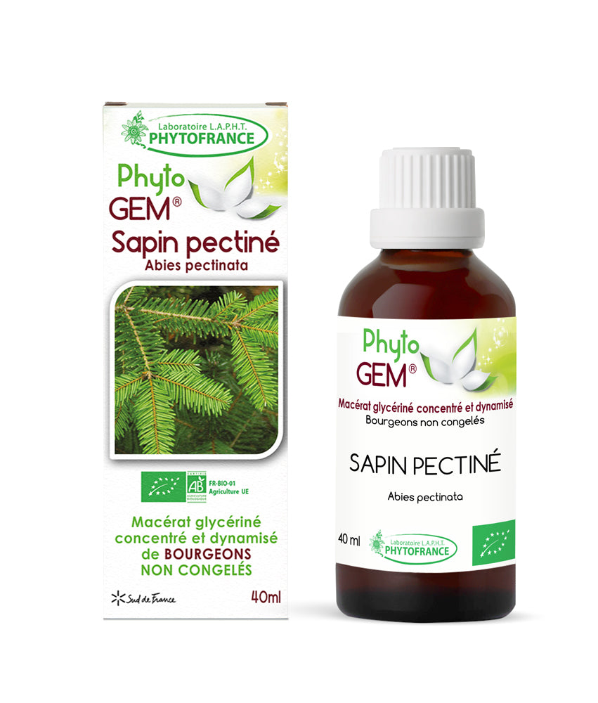 Macérat Concentré de Bourgeons Sapin Pectiné BIO 40ml Voies Respiratoires et Immunité