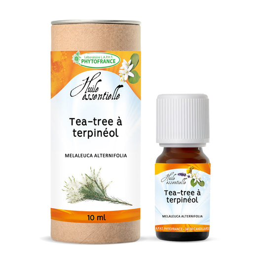 Huile Essentielle Tea Tree Melaleuca Alternifolia 10ml