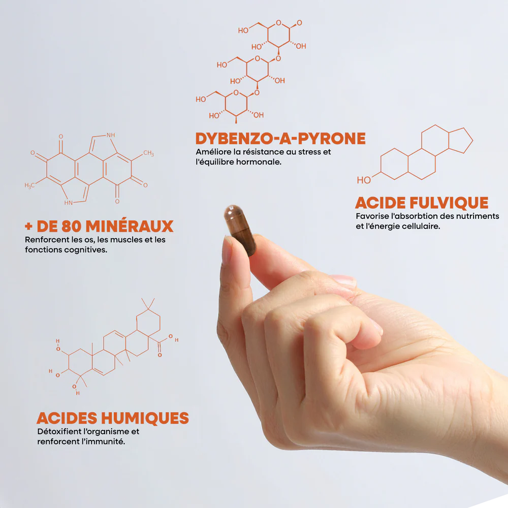 Shilajit Pur en 60 Gélules