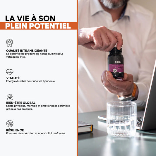 Shilajit Pur en 60 Gélules