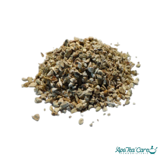 Acore Odorant (Calamus) Rhizome Décortiqué Coupé - Digestion et Vitalité