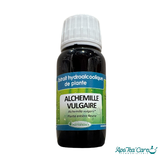 Extrait hydroalcoolique Alchemille Vulgaire bio 60ml PhytoFrance – Alchemilla vulgaris bien-être féminin L'ApoTea'Care Herboristerie