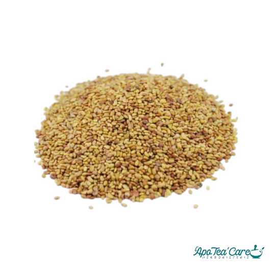 Alfalfa (Luzerne) Bio Graine - Santé Osseuse et Vitalité