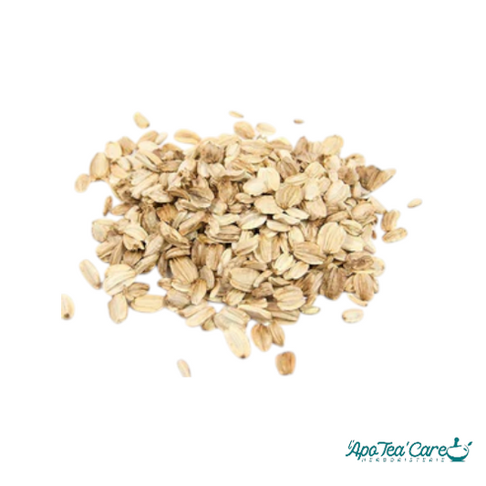 Angélique Fruit - Digestion et Immunité