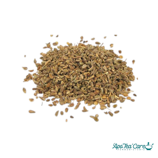 Anis Vert d'Espagne Fruit - Digestion et Confort Intestinal