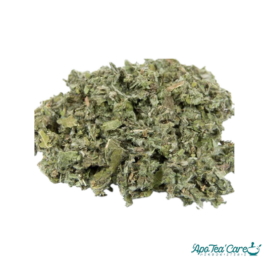 Artichaut Bio Feuille Coupée France- Digestion et Détox