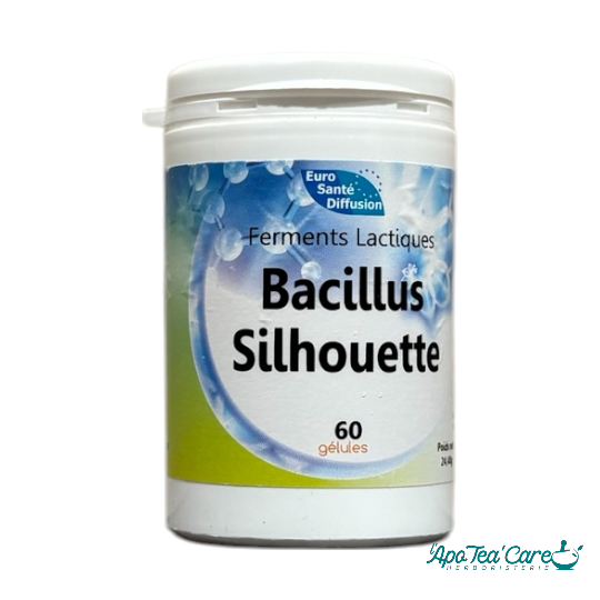 Bacillus Silhouette – Ferments lactiques 60 Gelules