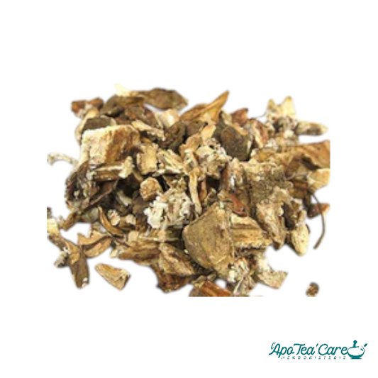 Bardane Grande Bio Racine coupée