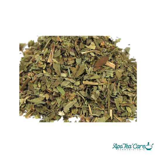 Basilic Bio Feuille Coupée Cailleau - Digestion et Stress