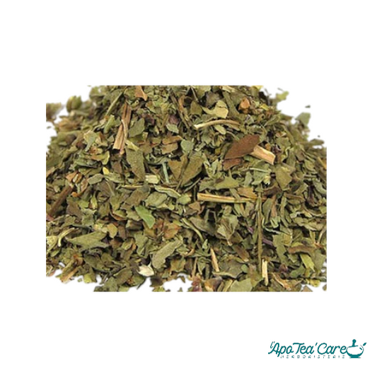 Basilic Bio Feuille Coupée Cailleau - Digestion et Stress