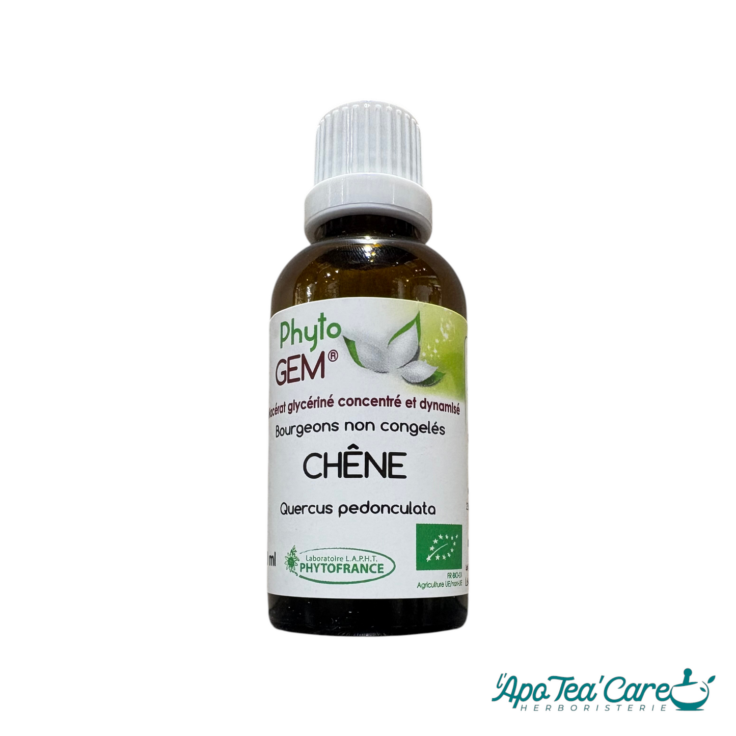 Macérat Phyto'gem Concentré de Bourgeons de Chêne BIO 40ml — PhytoFrance