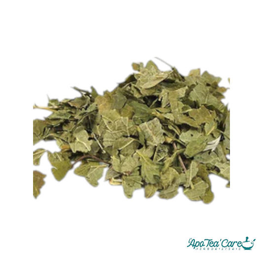 Cassis Feuille Coupée - Circulation et Articulations