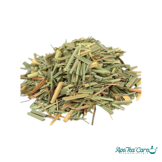 Citronnelle (Lemon Grass) Partie Aérienne Coupée - Digestion et Détente