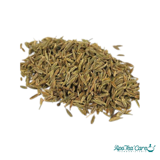 Cumin Fruit - Digestion & Confort Intestinal