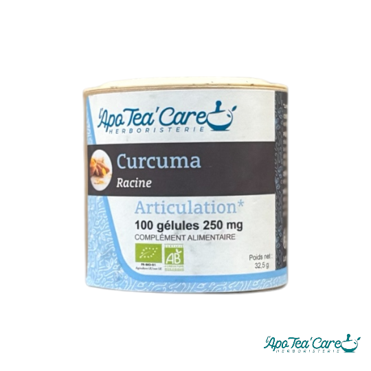 Curcuma racine 100 gelules 250 mg