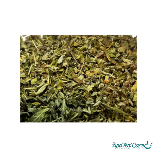 Damiana Feuille Coupée - Aphrodisiaque & Tonus Naturel