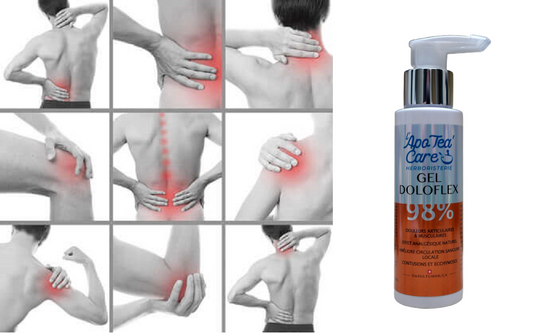 Gel Doloflex 98 % By L'ApoTeaCare 100ml