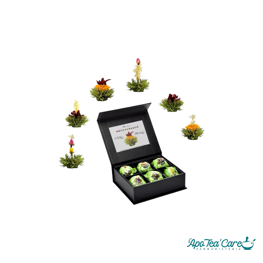 Coffret 6 Tisanes Eclosion de Fleurs