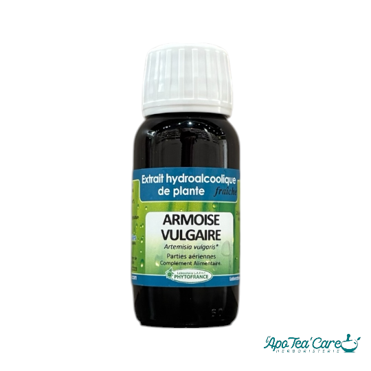 Extrait hydroalcoolique Armoise Vulgaire bio 60ml PhytoFrance – Artemisia vulgaris confort digestif bien-être féminin L'ApoTea'Care