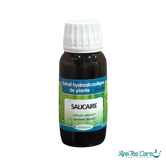 Extrait Hydro Alcoolique Salicaire BIO 60ml Phytofrance