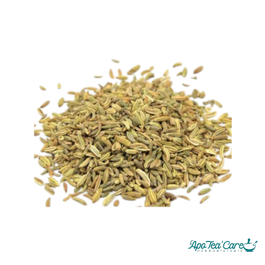 Fenouil Doux Fruit Trié Provence - Digestion & Lactation