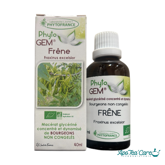 Macérat Phyto'gem Concentré de Bourgeons de Frêne 40ml - Mobilité Articulaire & Gemmothérapie PhytoFrance