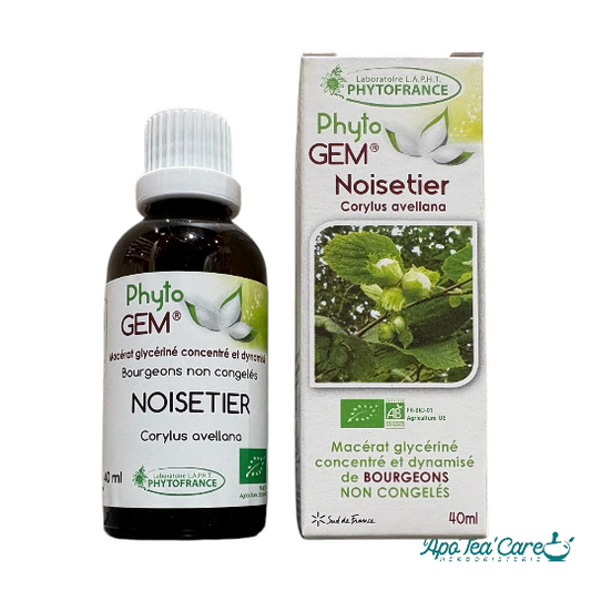 Le Macérat Phyto'gem de Bourgeons de Noisetier Bio 40ml