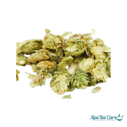 Houblon Cône Entier - Sommeil &Relaxation Naturelle